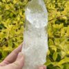 This is Barnacle Clear Quartz Point of Collective Strength - 455g