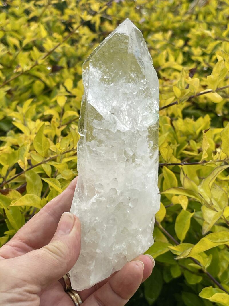 This is Barnacle Clear Quartz Point of Collective Strength - 455g