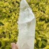 This is Barnacle Clear Quartz Point of Collective Strength - 455g