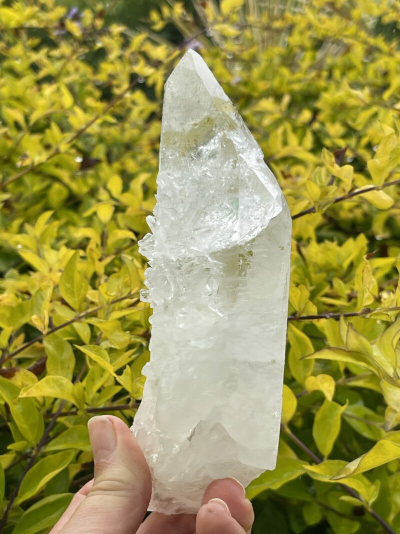 This is Barnacle Clear Quartz Point of Collective Strength - 455g