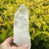 This is Barnacle Clear Quartz Point of Collective Strength - 455g