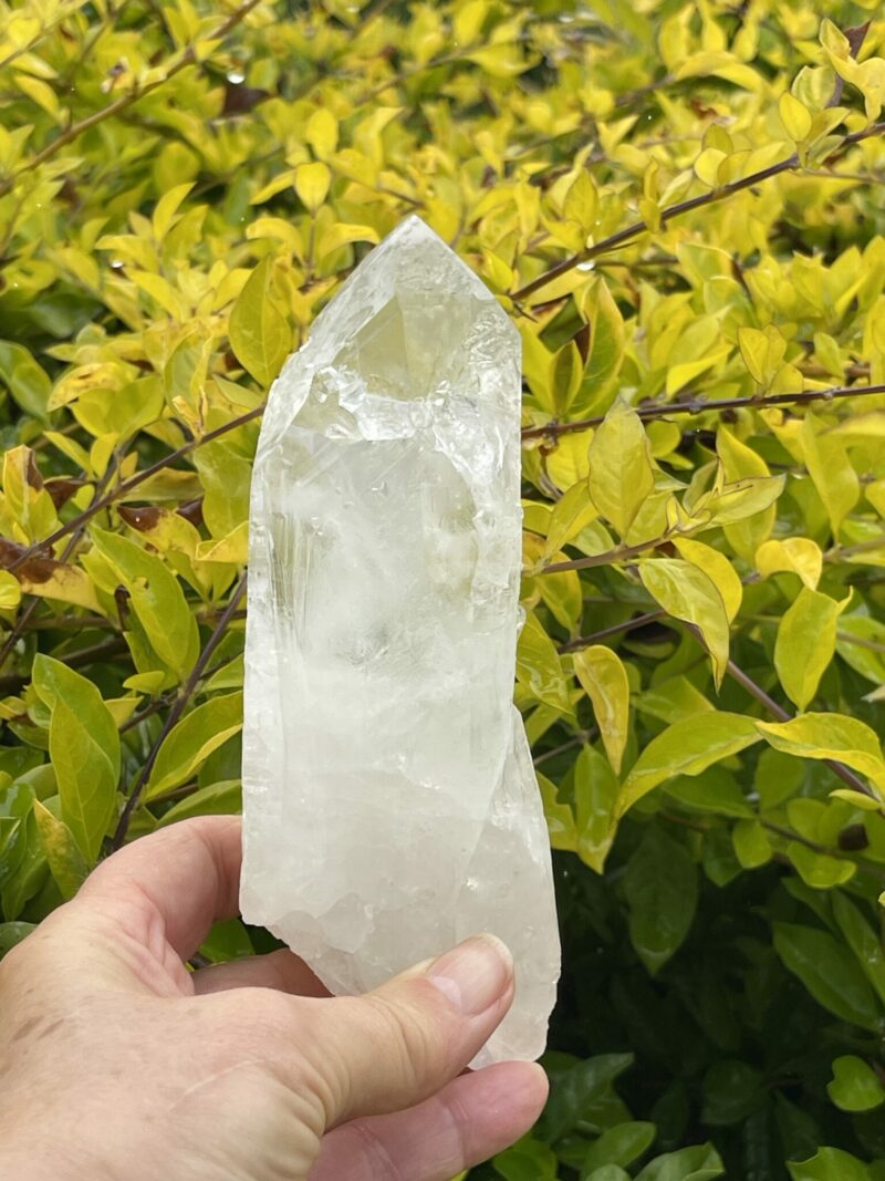 This is Barnacle Clear Quartz Point of Collective Strength - 455g