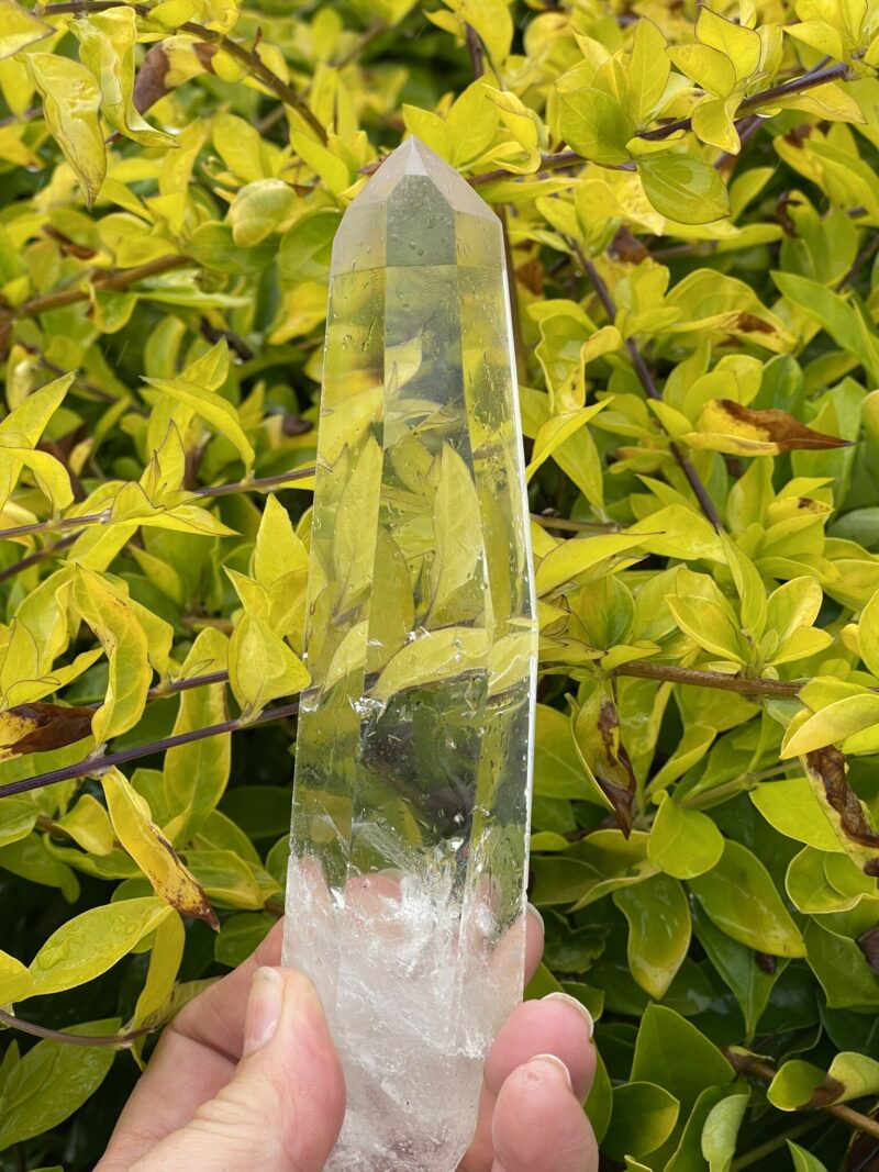 Water Clear Super This is Lemurian Quartz Crystal Point of Illumination - 274g