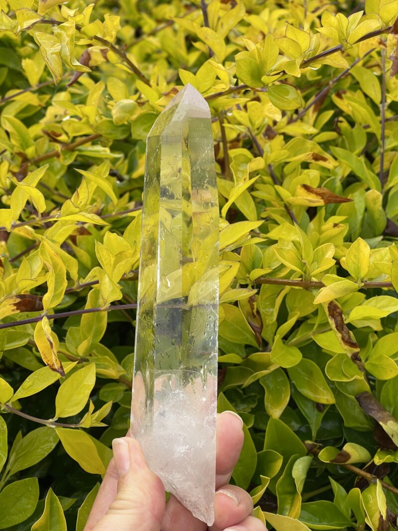 Water Clear Super This is Lemurian Quartz Crystal Point of Illumination - 274g