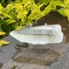 This is Lemurian Seed Crystal Point of Ancient Knowledge - 251g