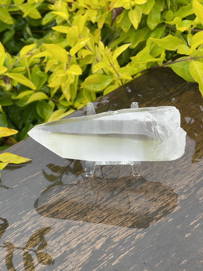 This is Lemurian Seed Crystal Point of Ancient Knowledge - 251g