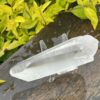 This is Lemurian Seed Crystal Point of Ancient Knowledge - 251g