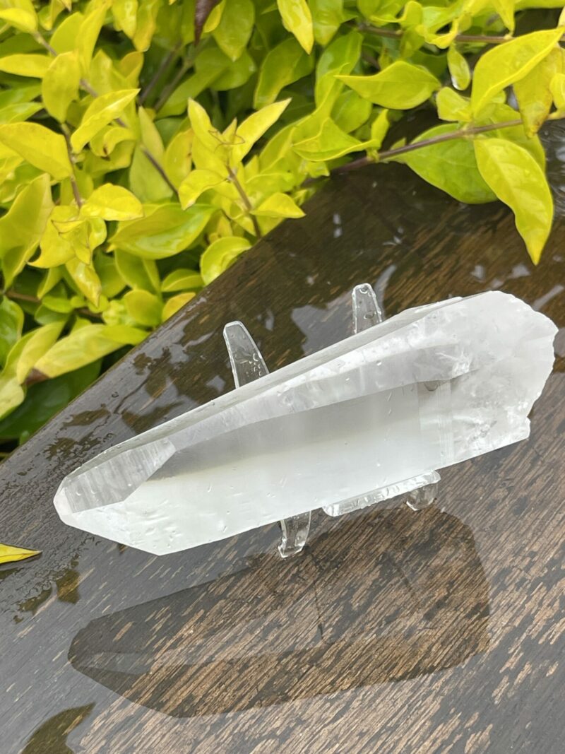 This is Lemurian Seed Crystal Point of Ancient Knowledge - 251g