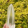 This is Lemurian Seed Crystal Point of Ancient Knowledge - 251g