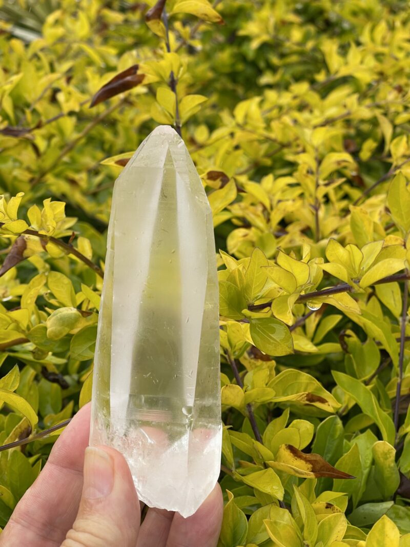 This is Lemurian Seed Crystal Point of Ancient Knowledge - 251g