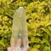 This is Lemurian Seed Crystal Point of Ancient Knowledge - 251g