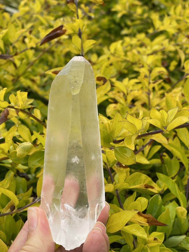 This is Lemurian Seed Crystal Point of Ancient Knowledge - 251g