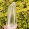 This is Lemurian Seed Crystal Point of Ancient Knowledge - 251g