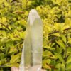 This is Lemurian Seed Crystal Point of Ancient Knowledge - 251g