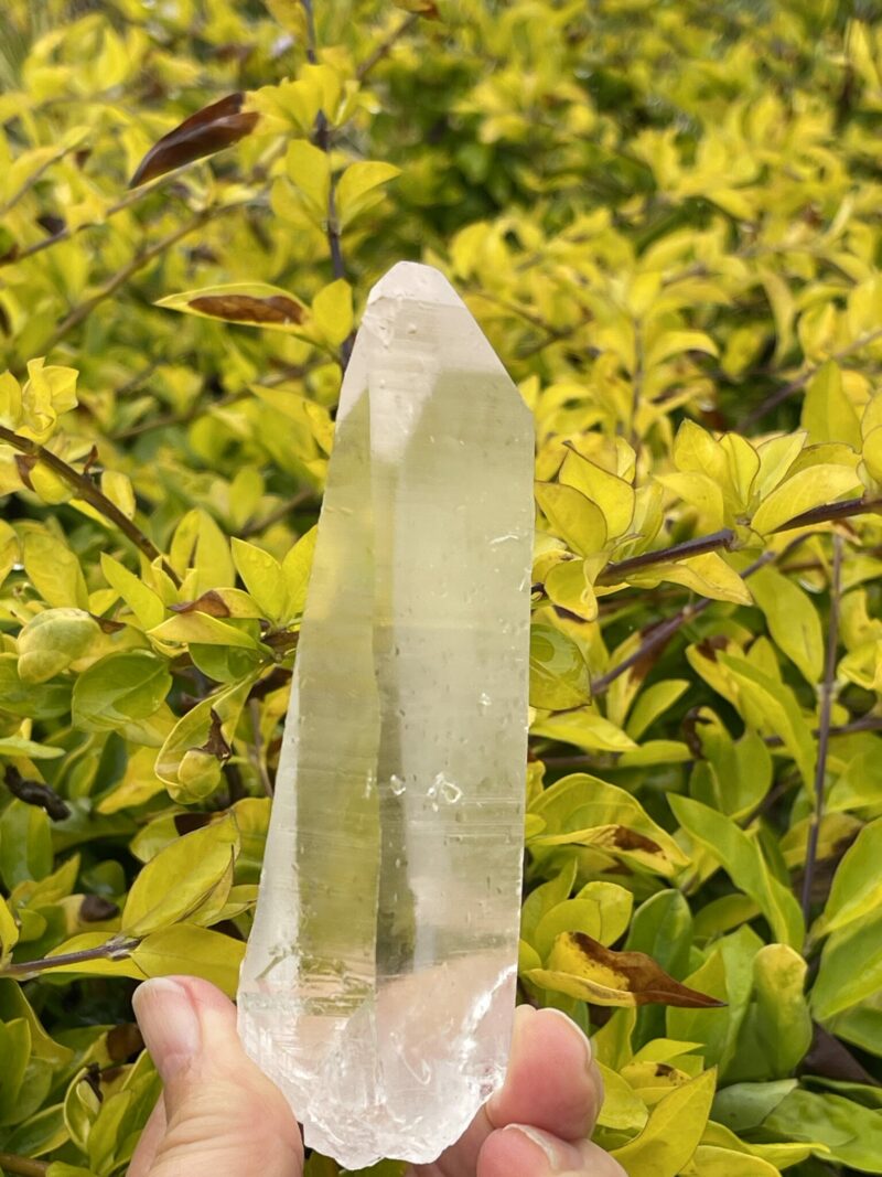 This is Lemurian Seed Crystal Point of Ancient Knowledge - 251g