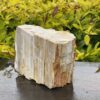 This is Majestic Petrified Wood Specimen of Ancient Earth - 2.19kg