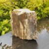 This is Majestic Petrified Wood Specimen of Ancient Earth - 2.19kg