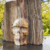 Stunning Petrified This is Wood Skull Carving of Ancient Wisdom - 4.6kg