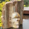 Stunning Petrified This is Wood Skull Carving of Ancient Wisdom - 4.6kg