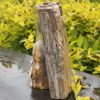 Stunning Petrified This is Wood Skull Carving of Ancient Wisdom - 4.6kg