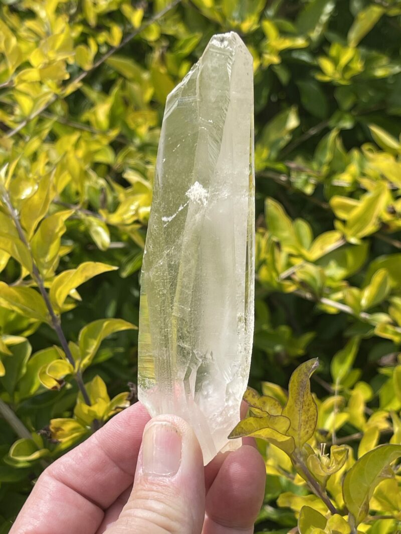 This is Lemurian Raw Tabby Point – 101g