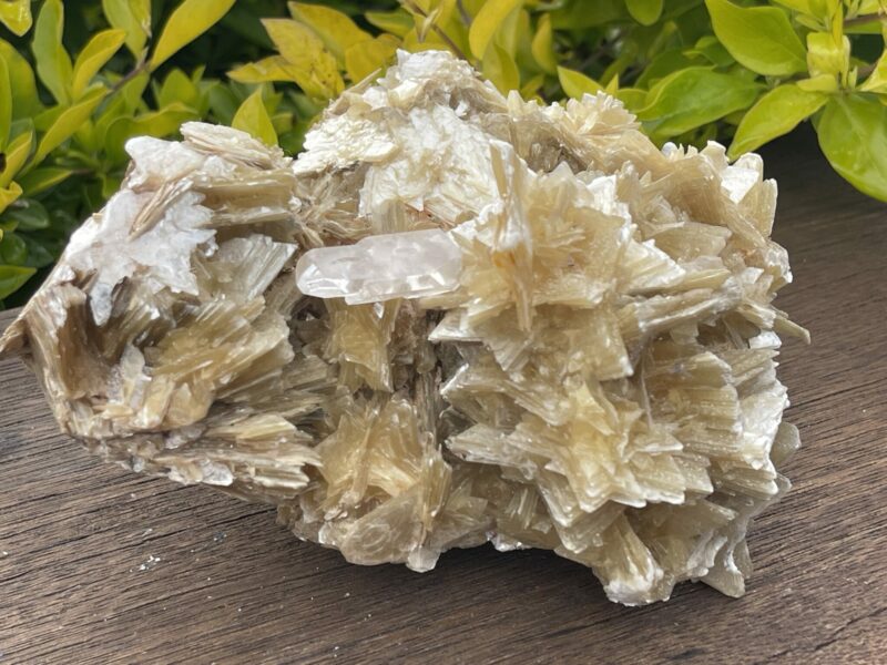 This is Golden Mica with Quartz Unique Specimen – 1.49kg