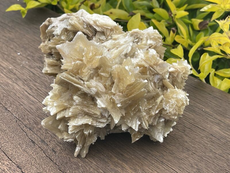 This is Golden Mica with Quartz Unique Specimen – 1.49kg