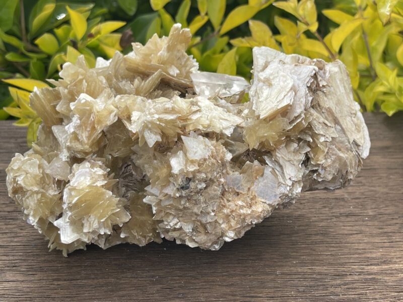 This is Golden Mica with Quartz Unique Specimen – 1.49kg