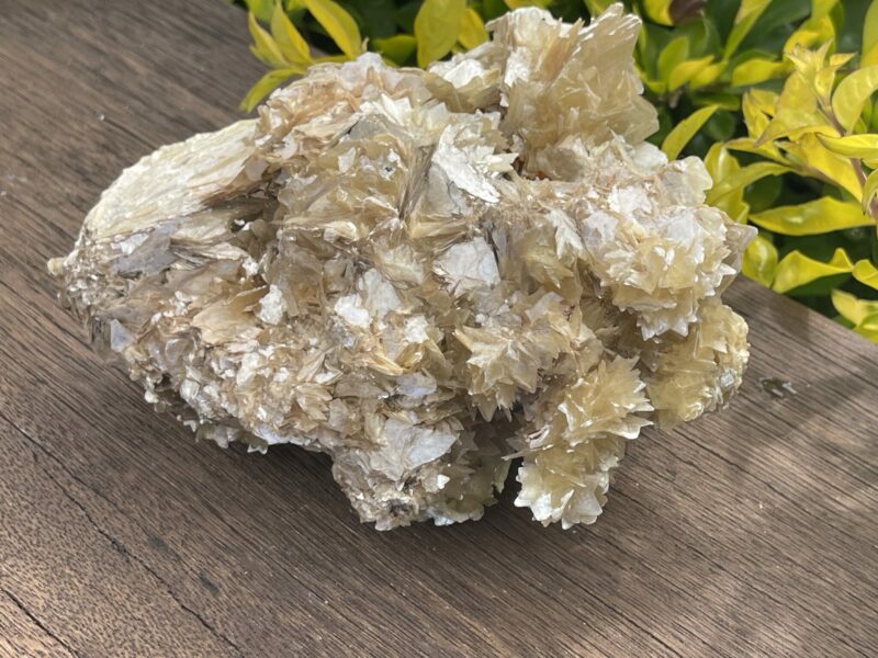 This is Golden Mica with Quartz Unique Specimen – 1.49kg