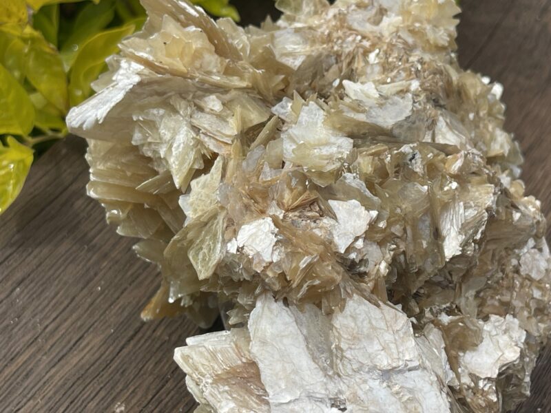 This is Golden Mica with Quartz Unique Specimen – 1.49kg