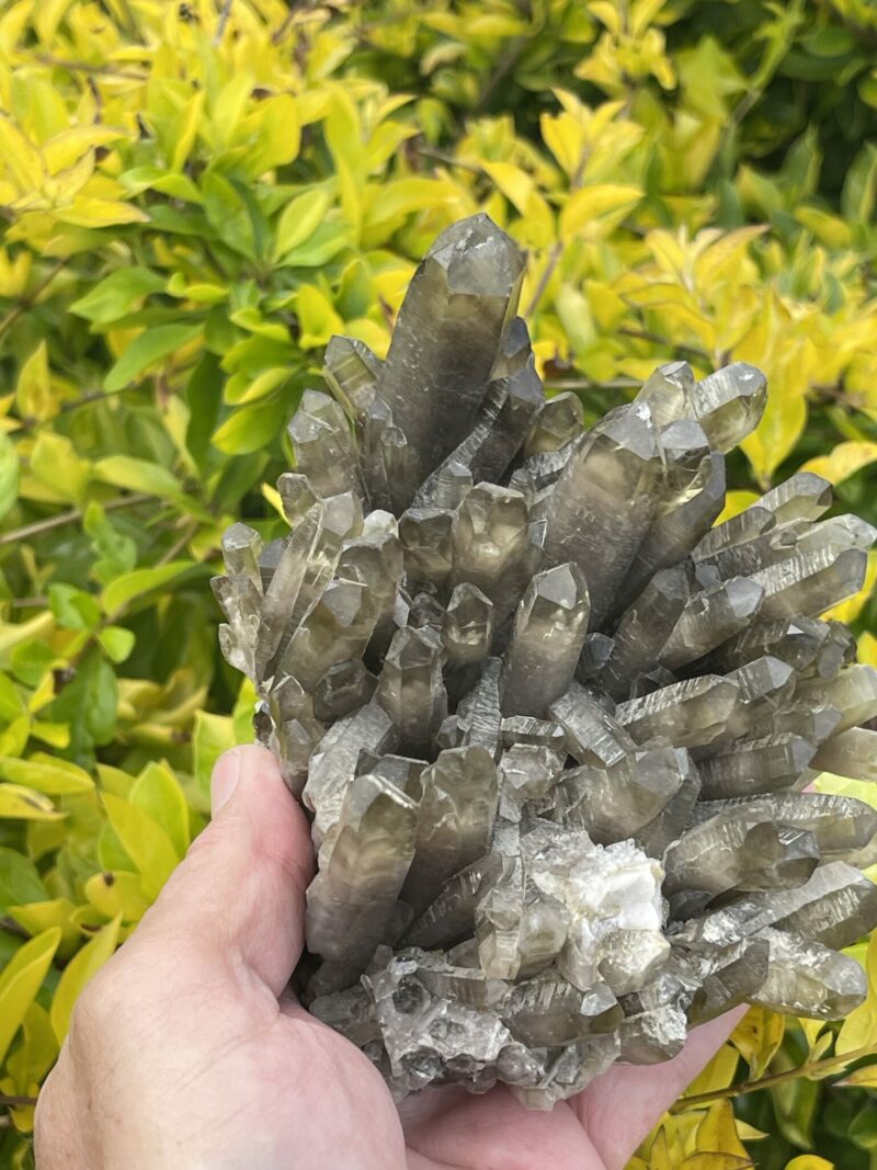 This is Unique Dark Smokey Quartz Cluster – 915g