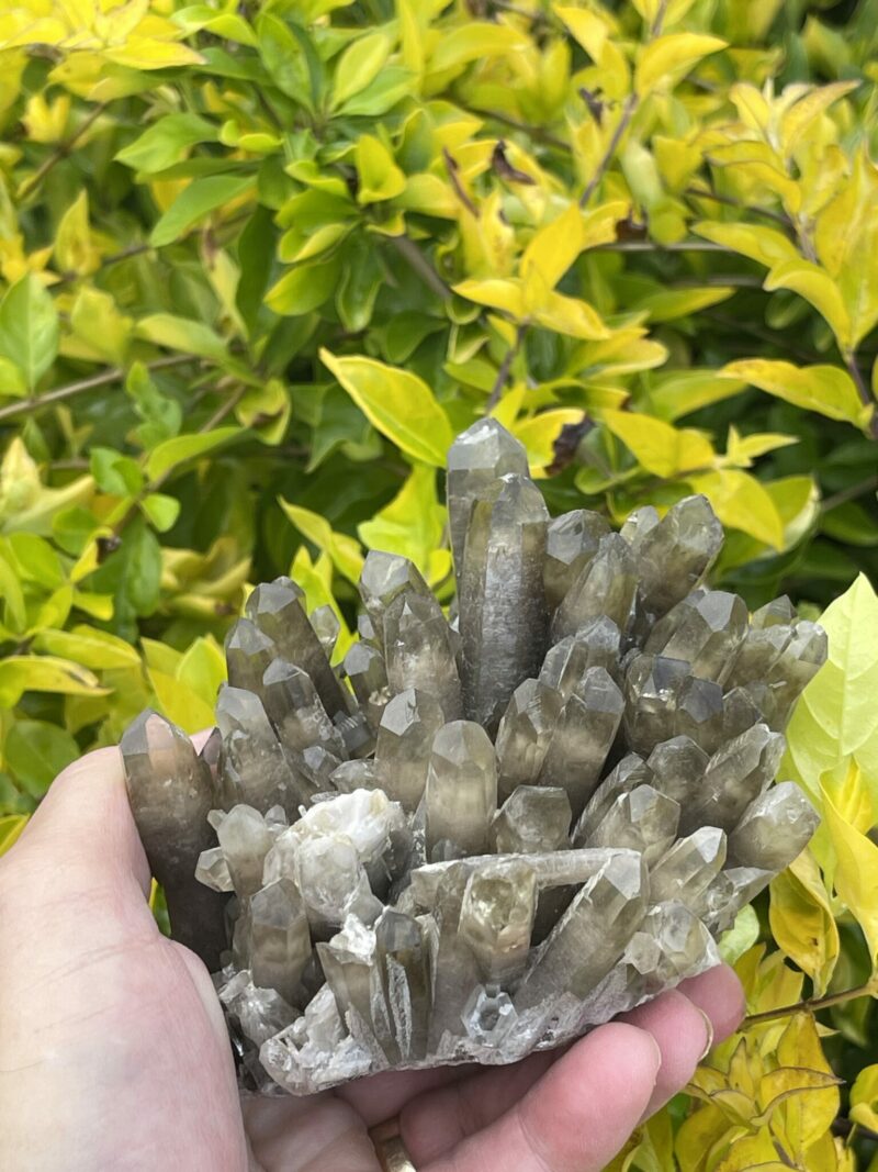 This is Unique Dark Smokey Quartz Cluster – 915g