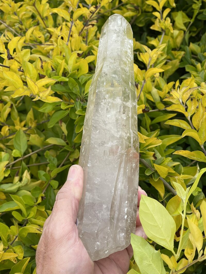 This is Large Beautiful Smokey Quartz Tantric Twin Generator – 884g