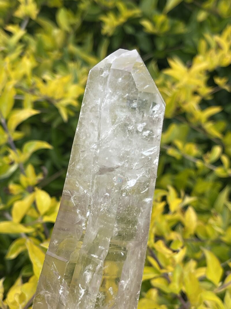 This is Large Beautiful Smokey Quartz Tantric Twin Generator – 884g