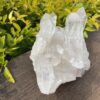 This is Water Clear Quartz Many Masters Cluster – 2.5kg