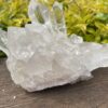 This is Water Clear Quartz Many Masters Cluster – 2.5kg