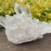 This is Water Clear Quartz Many Masters Cluster – 2.5kg