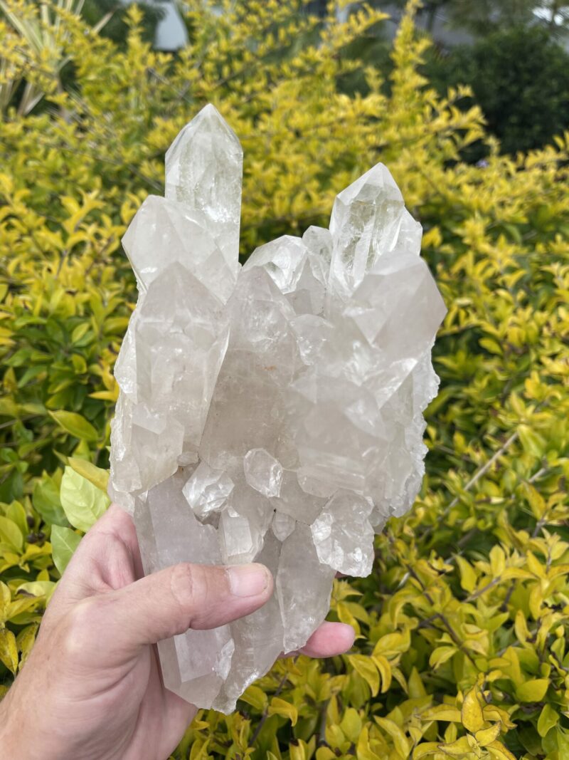 This is Water Clear Quartz Many Masters Cluster – 2.5kg