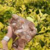 This is Stunning Clear Quartz in Silica Matrix – 449g