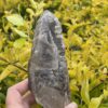 This is Skeletal Smokey Quartz Generator – 453g