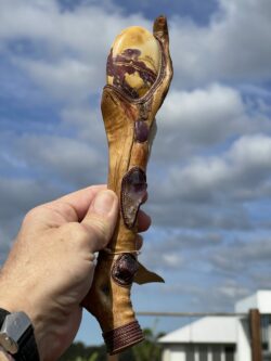 This is Shamanic Way Ceremonial Talking Stick – 23cm