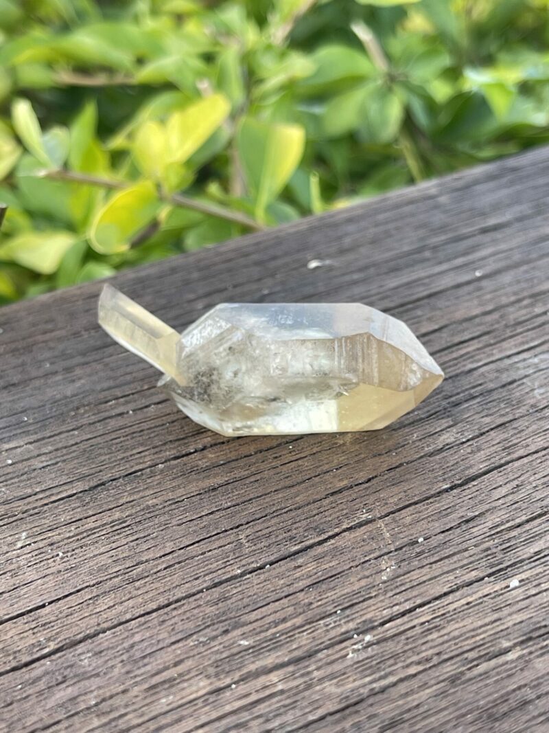 This is Exquisite Congo Citrine Scepter with Past Time Link (29g)