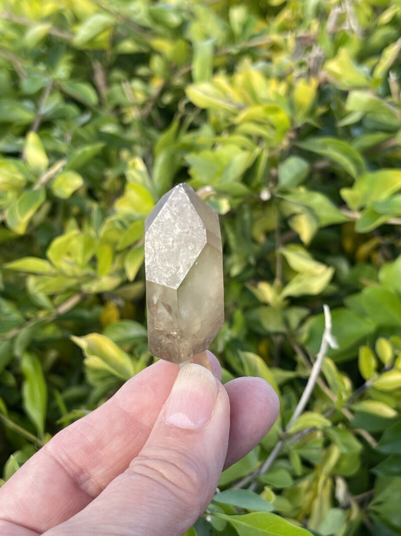 This is Exquisite Congo Citrine Scepter with Past Time Link (29g)