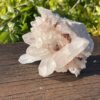 This is Charming Himalayan Clear Quartz Cluster (213g)