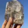 This is Polished Elestial Enhydro Smoky Quartz A Source of Deep Healing and Ancient Wisdom