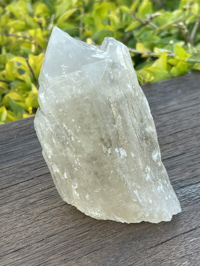 This is Gorgeous Smoky Citrine Lightbrary: 560g of Abundance and Grounding Wisdom