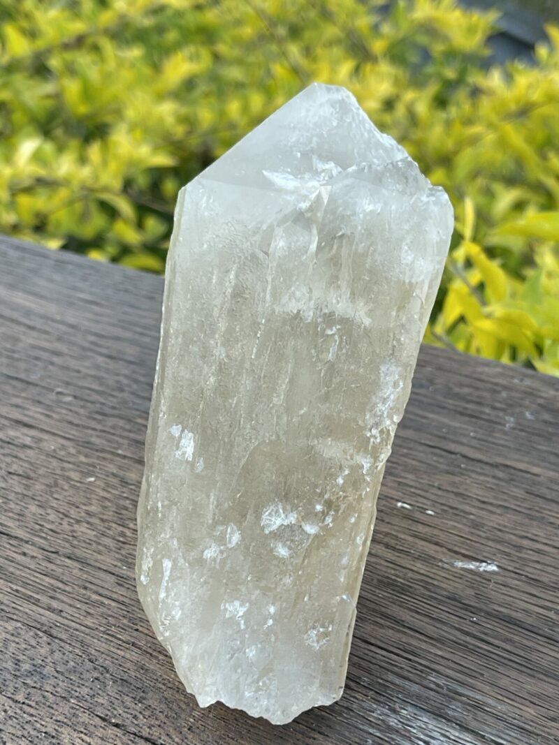 This is Gorgeous Smoky Citrine Lightbrary: 560g of Abundance and Grounding Wisdom