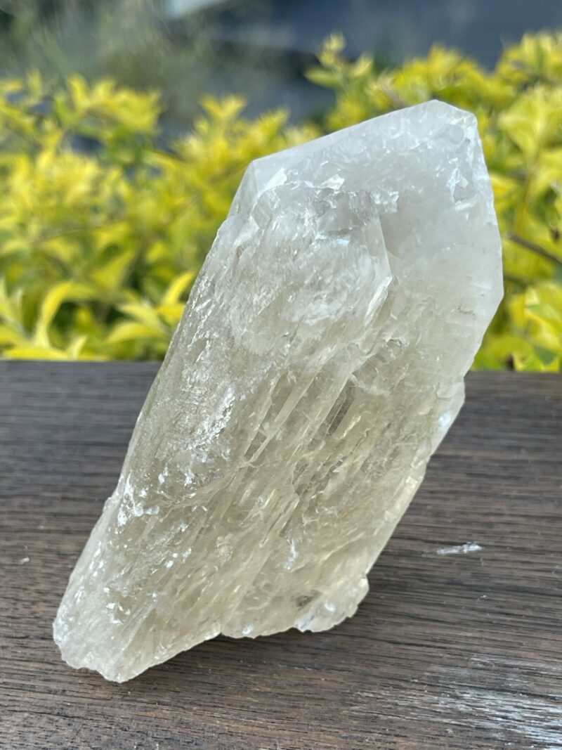 This is Gorgeous Smoky Citrine Lightbrary: 560g of Abundance and Grounding Wisdom