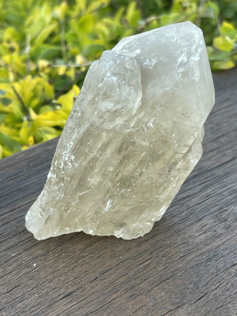 This is Gorgeous Smoky Citrine Lightbrary: 560g of Abundance and Grounding Wisdom