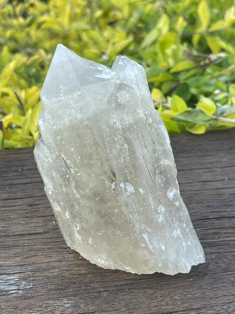 This is Gorgeous Smoky Citrine Lightbrary: 560g of Abundance and Grounding Wisdom